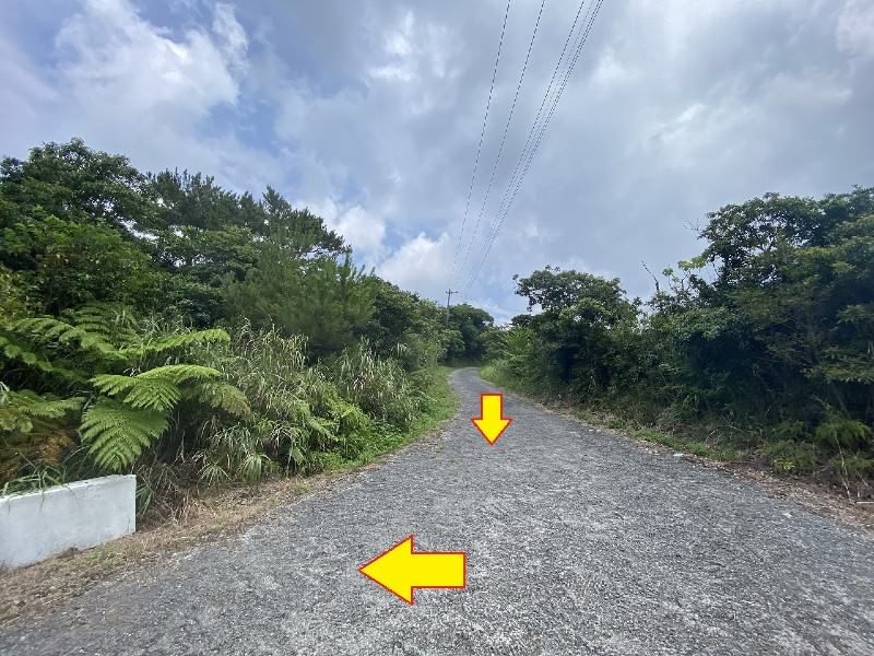 67,213 sqm Land for Sale in Ogimi Village, Okinawa - Thumbnail 4