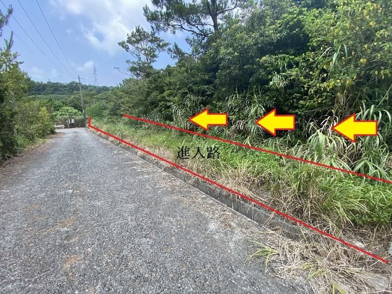 67,213 sqm Land for Sale in Ogimi Village, Okinawa - Thumbnail 3