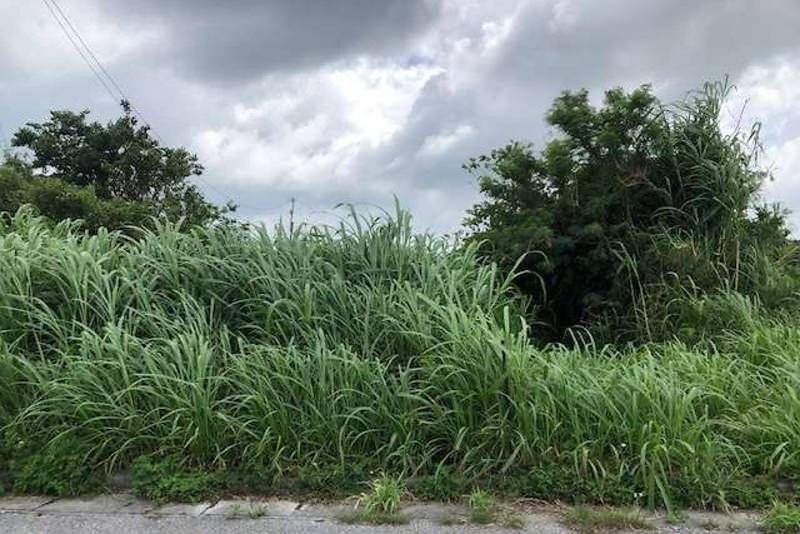 497 sqm Development Land for Sale in Yakena, Uruma, Okinawa - Thumbnail 3