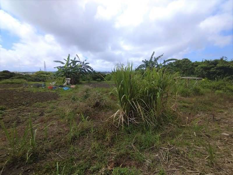 Agricultural Land for Sale in Tomigusuku, Okinawa - 506 sqm - Thumbnail 4