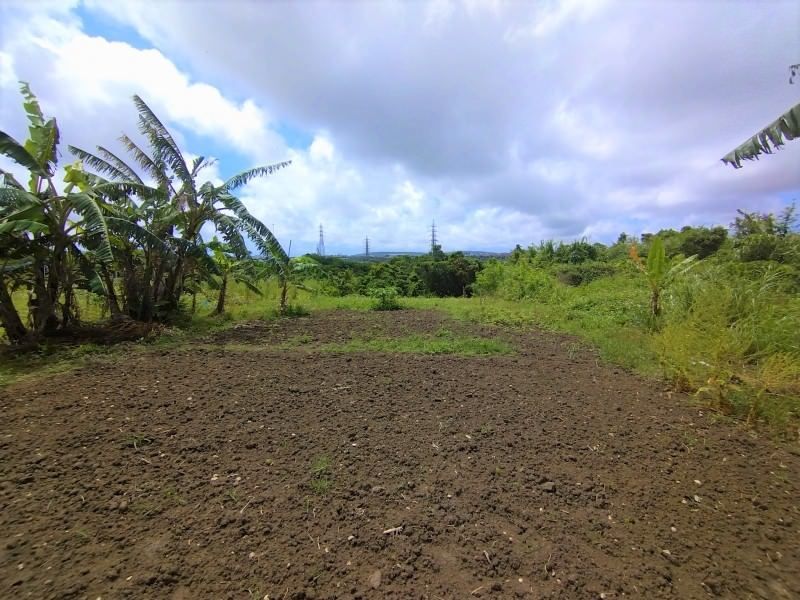 Agricultural Land for Sale in Tomigusuku, Okinawa - 506 sqm - Thumbnail 2