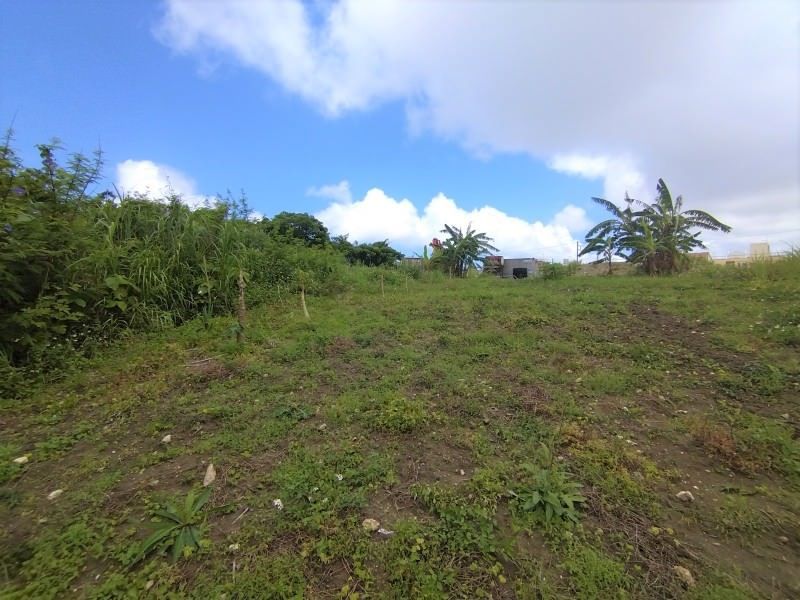 Agricultural Land for Sale in Tomigusuku, Okinawa - 506 sqm - Thumbnail 3