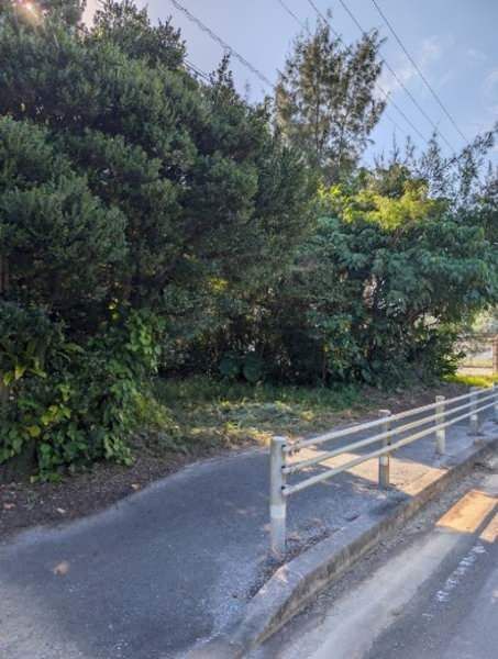218 Tsubo Coastal Land for Sale in Ogimi Village, Okinawa - Thumbnail 4