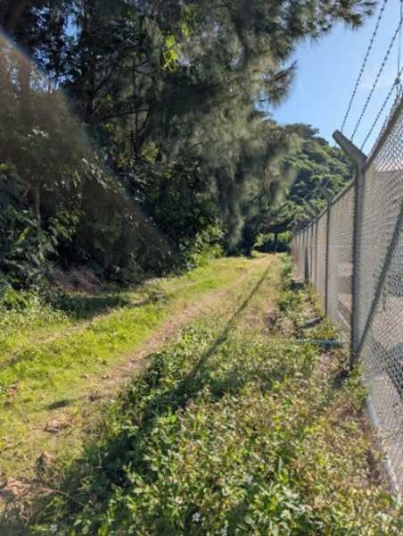 218 Tsubo Coastal Land for Sale in Ogimi Village, Okinawa - Thumbnail 2