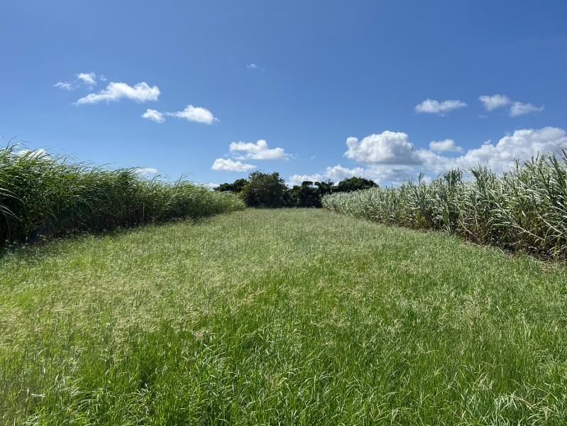 Iejima Military Land for Sale with 38x Multiplier in Okinawa - Thumbnail 3