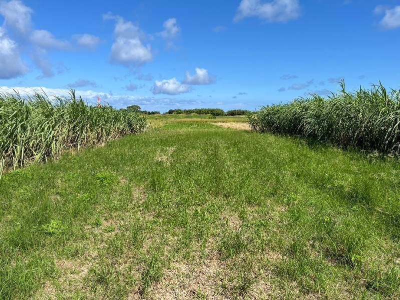 Iejima Military Land for Sale with 38x Multiplier in Okinawa - Thumbnail 4