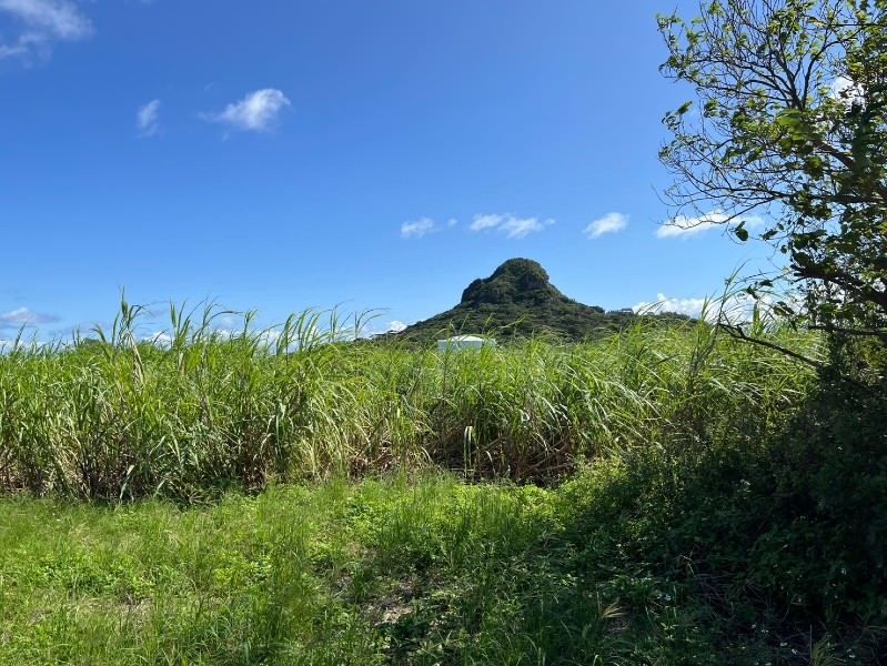 Iejima Military Land for Sale with 38x Multiplier in Okinawa - Thumbnail 2