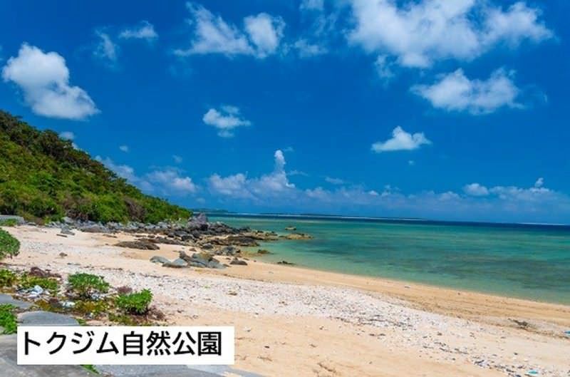Land for Sale in Maji, Kumejima - 469.44 sqm Plot | Okinawa - Thumbnail 3