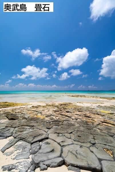 Land for Sale in Maji, Kumejima - 469.44 sqm Plot | Okinawa - Thumbnail 4