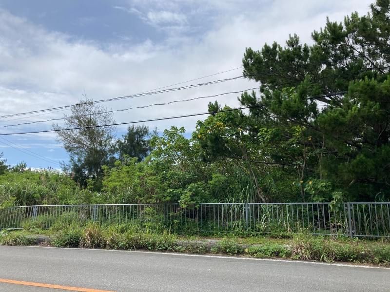 365 sqm Farmland for Sale in Higashi Village, Okinawa - Thumbnail 2