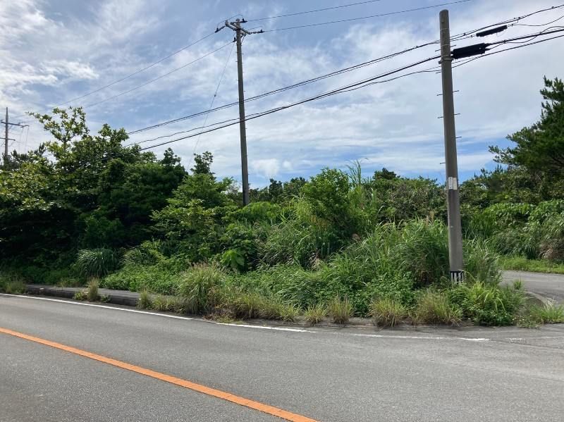 365 sqm Farmland for Sale in Higashi Village, Okinawa - Thumbnail 3