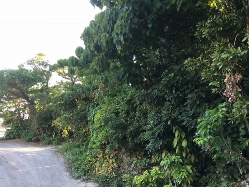 179 sqm Cemetery Land for Sale in Nakagusuku Village, Okinawa - Thumbnail 3