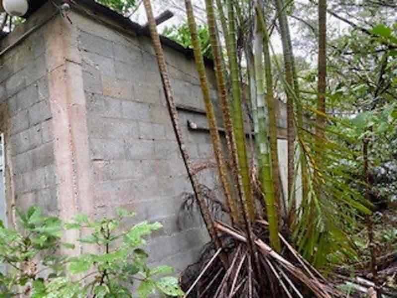 23,456 sqm Land for Sale in Ogimi Village, Okinawa - Thumbnail 2