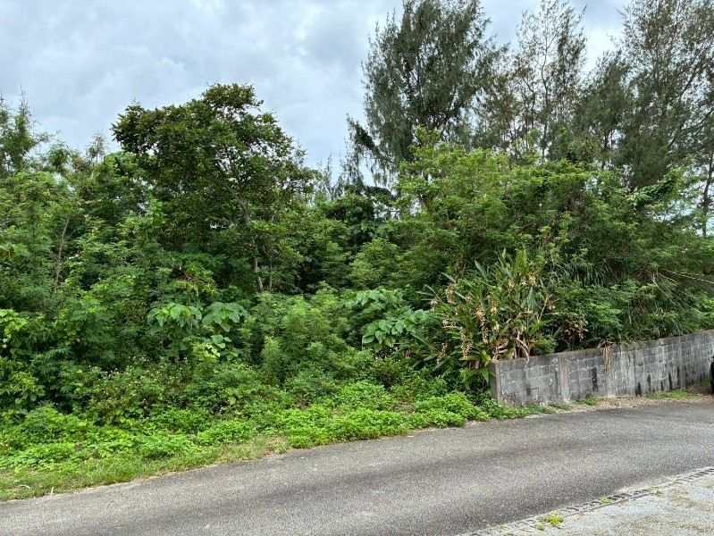 Land for Sale in Motobu, Okinawa – 301 sqm, No Building Conditions - Thumbnail 2