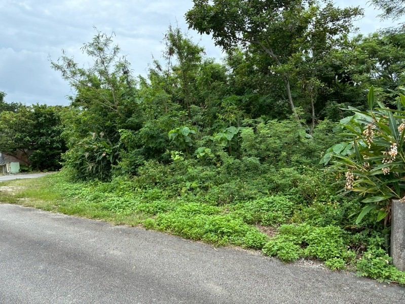 Land for Sale in Motobu, Okinawa – 301 sqm, No Building Conditions - Thumbnail 4