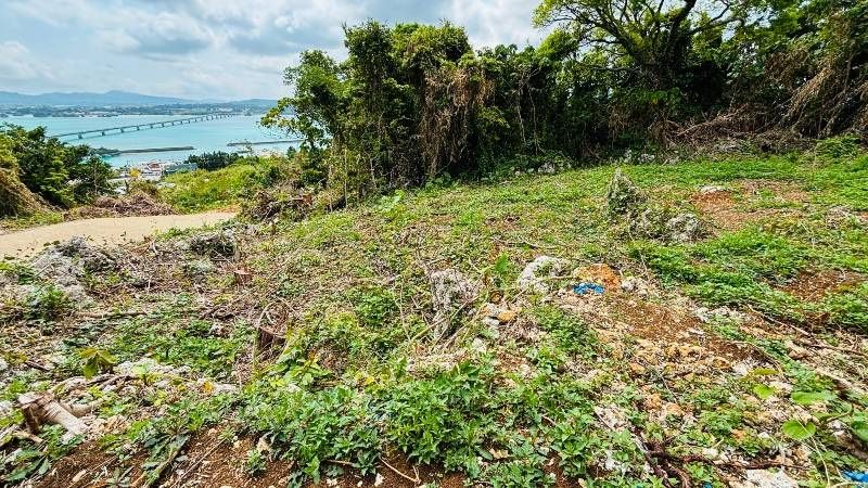 Land for Sale in Kouri, Nakijin, Okinawa - 530 sqm Ocean View Lot - Thumbnail 2