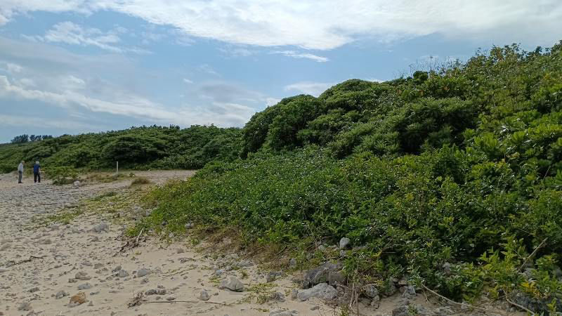 1LDK House in Taketomi Town with Ocean Views - Thumbnail 4