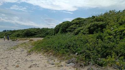 1LDK House in Taketomi Town with Ocean Views — Land, Taketomi, Okinawa
