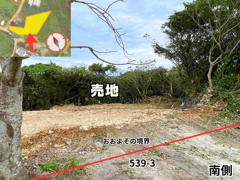 147.3 Tsubo Land for Sale in Nakijin Village, Okinawa - Image 1