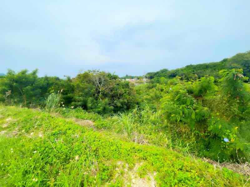 Large 2000 Tsubo Land Plot for Sale in Yaese Town, Okinawa - Thumbnail 4