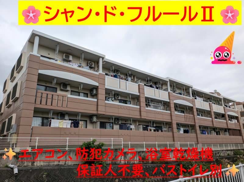 2LDK Apartment for Rent in Haebaru Town, Okinawa - Thumbnail 2