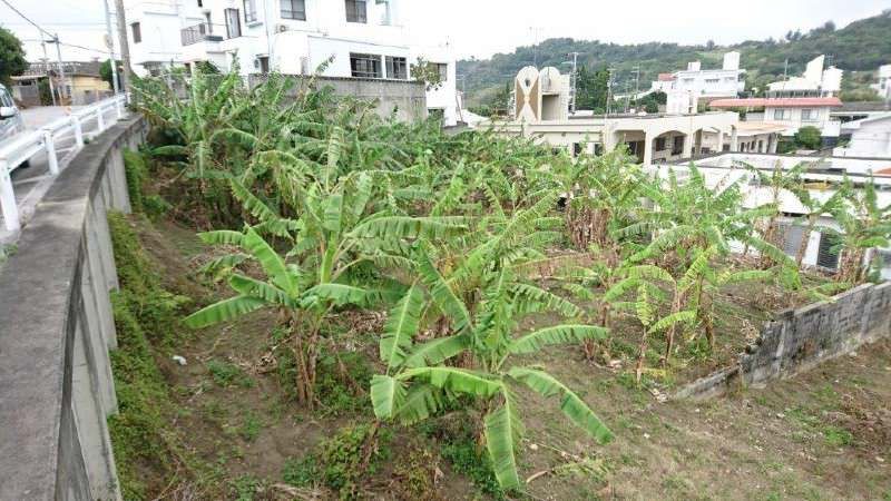Land for Sale in Wakugami, Tomigusuku, Okinawa - 526.97 sqm - Thumbnail 2