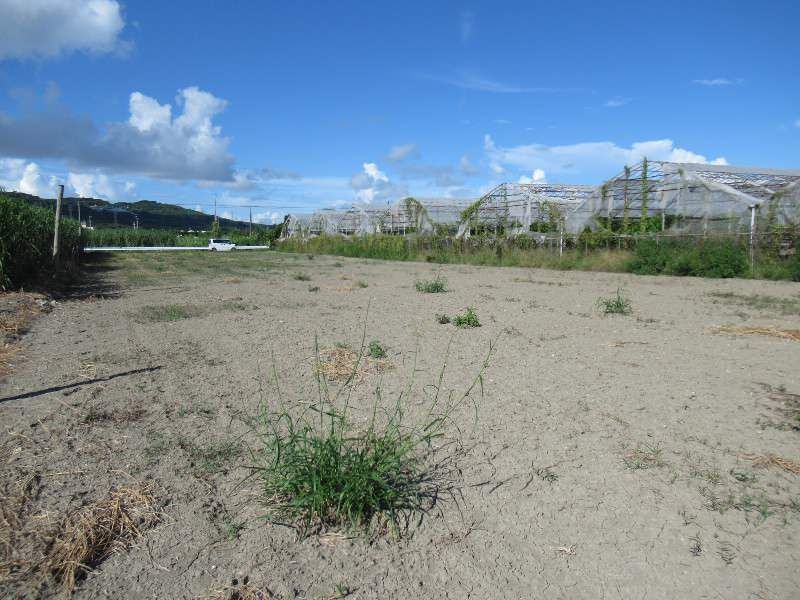Farmland for Sale in Atoma, Nakagusuku Village, Okinawa - Thumbnail 4