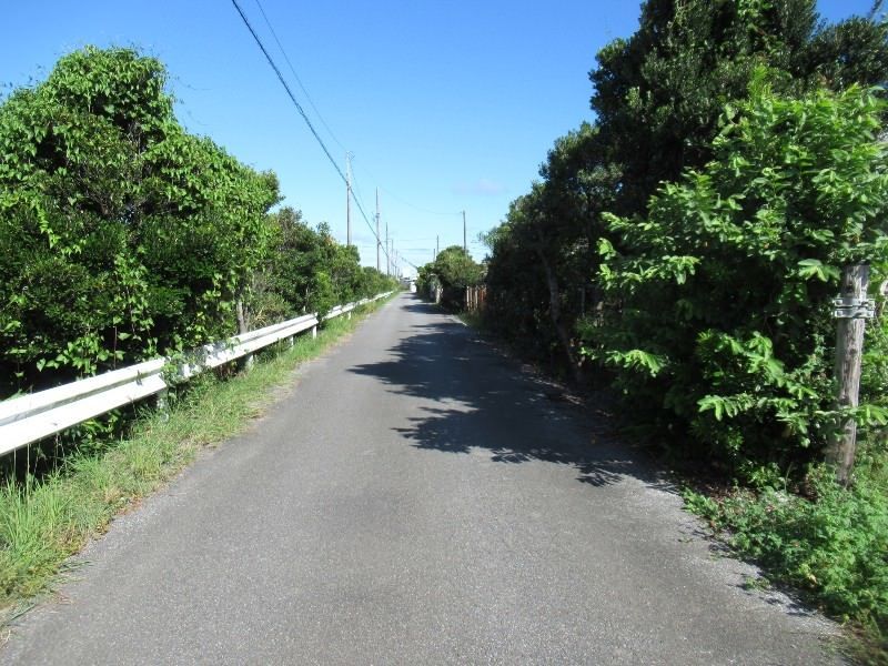 Farmland for Sale in Atoma, Nakagusuku Village, Okinawa - Thumbnail 2
