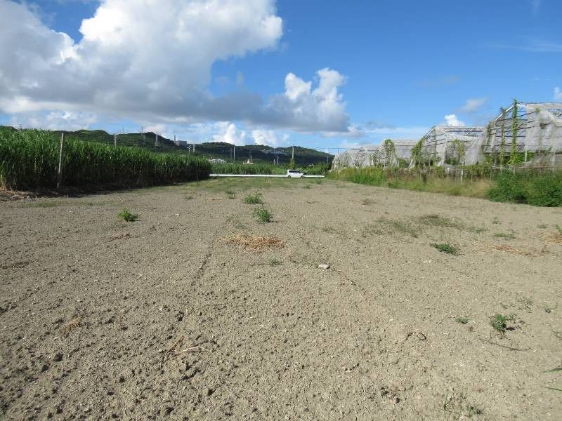 Farmland for Sale in Atoma, Nakagusuku Village, Okinawa - Thumbnail 3