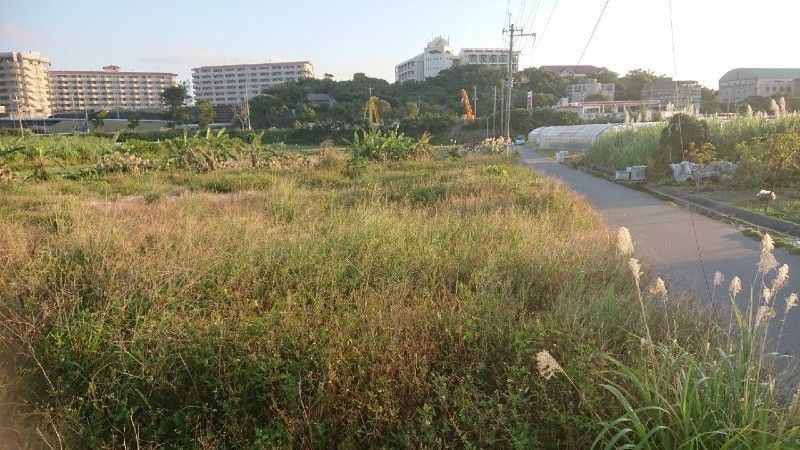 Agricultural Land for Sale in Itoman City, Okinawa - Thumbnail 3