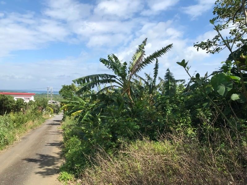 Vacant Land for Sale in Kabira, Ishigaki, Okinawa - Thumbnail 4