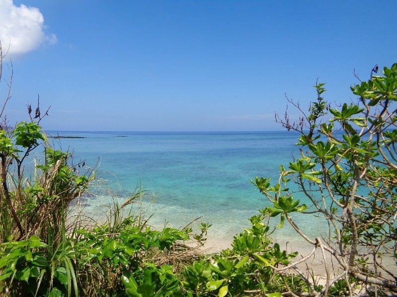 24,734 sqm Resort Development Land for Sale in Onna Village, Okinawa - Thumbnail 3