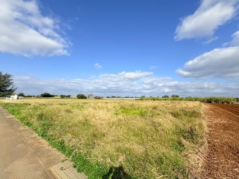 Agricultural Land for Sale in Ie Village, Okinawa - 991.7 sqm - Thumbnail 4
