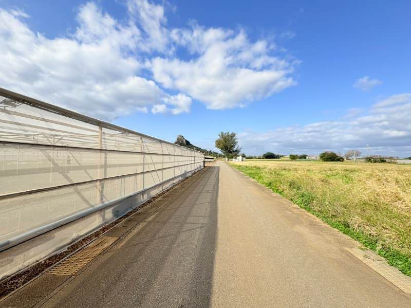 Agricultural Land for Sale in Ie Village, Okinawa - 991.7 sqm - Thumbnail 2