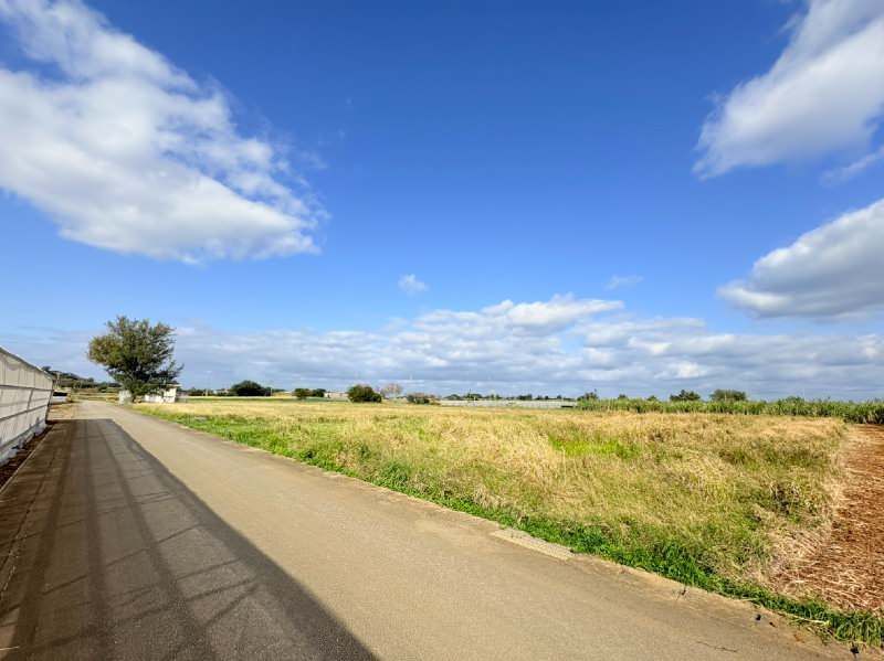 Agricultural Land for Sale in Ie Village, Okinawa - 991.7 sqm - Thumbnail 3