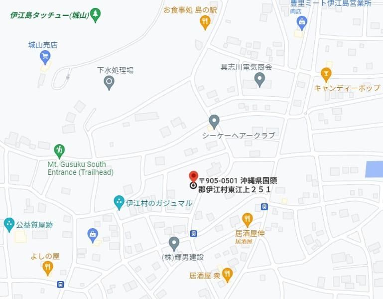 Land for Sale in Higashiego, Ie Village, Okinawa - 249.9 sqm - Thumbnail 3