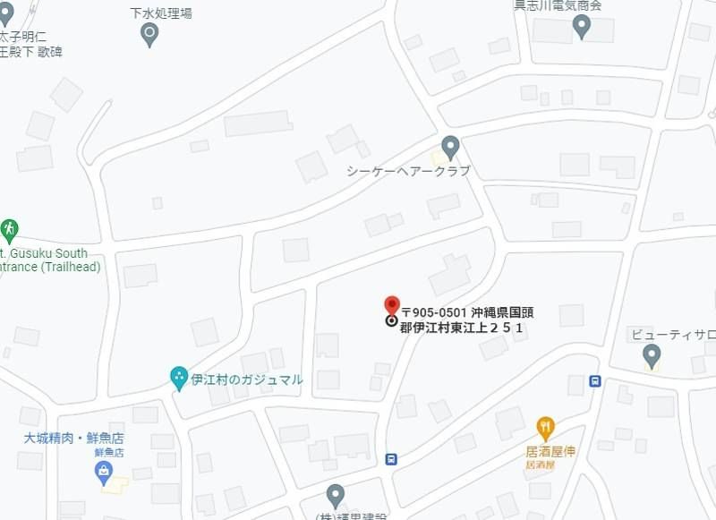 Land for Sale in Higashiego, Ie Village, Okinawa - 249.9 sqm - Thumbnail 4