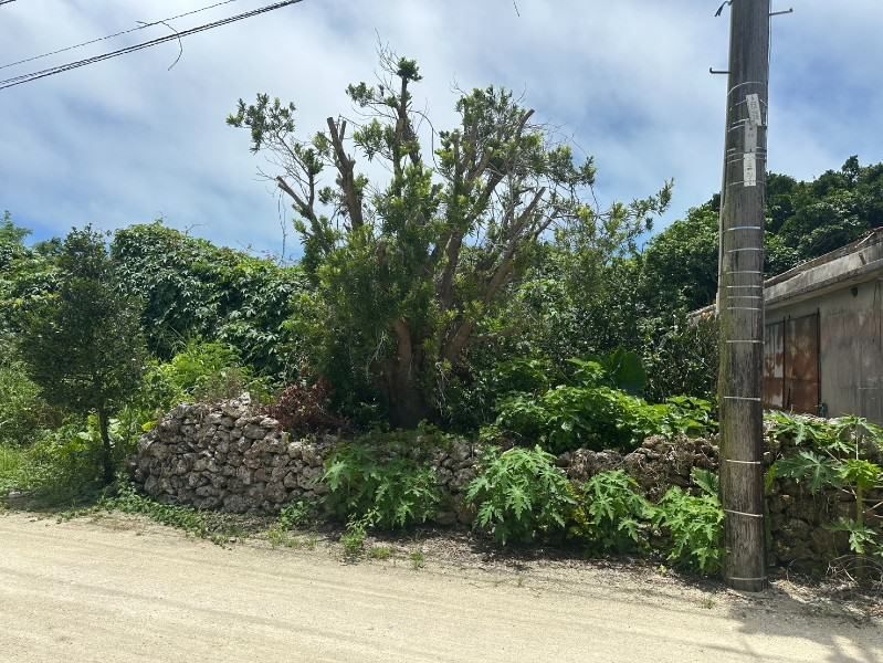 Taketomi Island Land for Sale - 1560.3 sqm Plots - Image 1