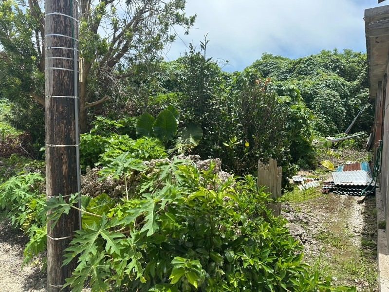 Taketomi Island Land for Sale - 1560.3 sqm Plots - Thumbnail 2