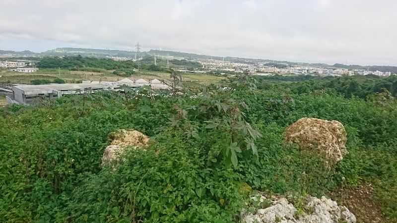 Land for Sale in Chirahira, Itoman City, Okinawa - 1226 sqm - Thumbnail 4