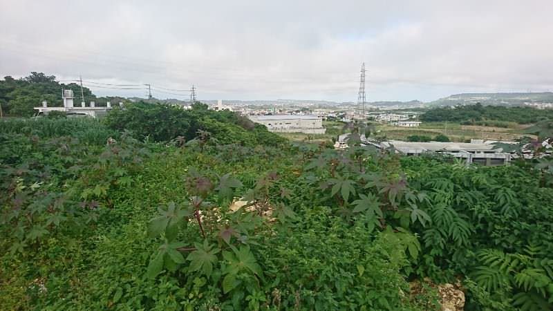 Land for Sale in Chirahira, Itoman City, Okinawa - 1226 sqm - Thumbnail 3