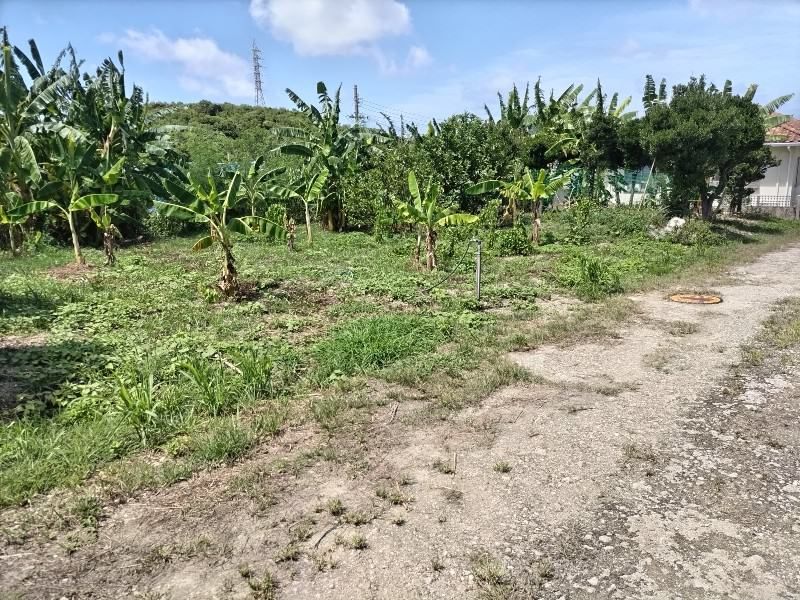 642 sqm Farmland for Sale in Tomigusuku, Okinawa - Article 5 Application - Thumbnail 3