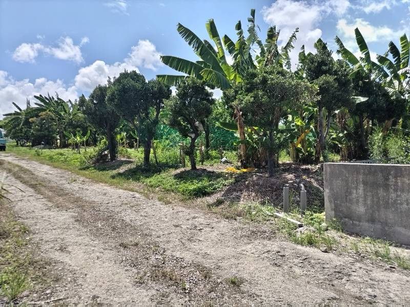 642 sqm Farmland for Sale in Tomigusuku, Okinawa - Article 5 Application - Image 1