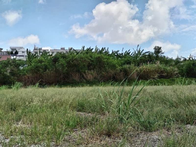 642 sqm Farmland for Sale in Tomigusuku, Okinawa - Article 5 Application - Thumbnail 4