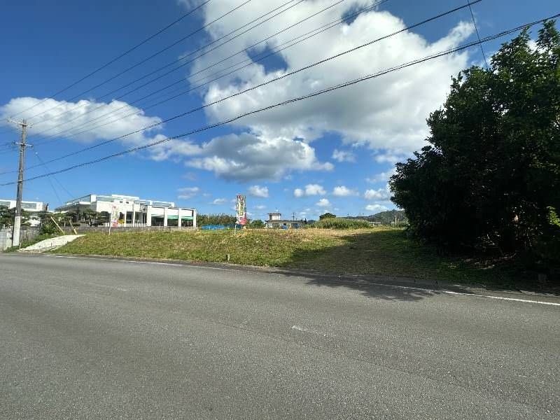 Land for Sale in Henna, Kunigami Village, Okinawa - 472.27 sqm - Thumbnail 4