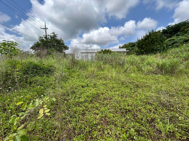 Land for Sale in Nagura, Ishigaki – 307 sqm - Thumbnail 2
