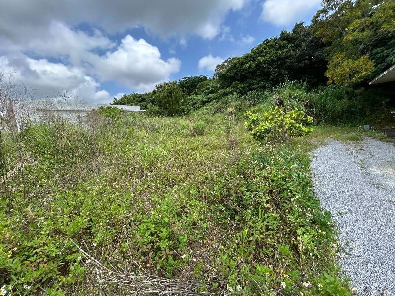 Land for Sale in Nagura, Ishigaki – 307 sqm - Thumbnail 4
