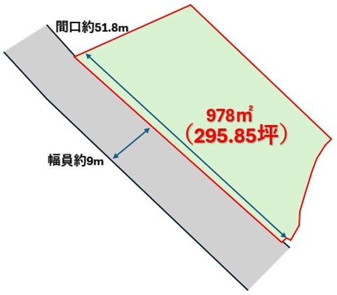 Farmland for Sale in Higashi Village, Okinawa - 978 sqm Plot - Thumbnail 2