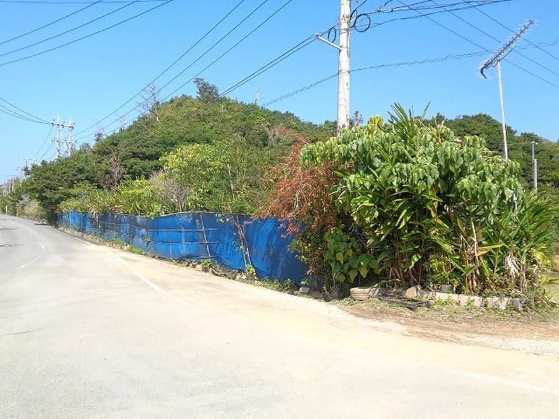 Farmland for Sale in Higashi Village, Okinawa - 978 sqm Plot - Thumbnail 4