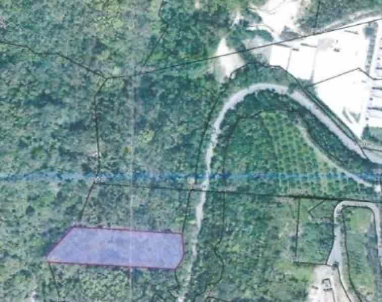 Land for Sale in Ogimi Village, Okinawa - 3,305 sqm - Thumbnail 3